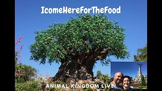 🔴Live🔴Disney's Animal Kingdom!?!! 🌳🐘🐅🦍🦏what's new!