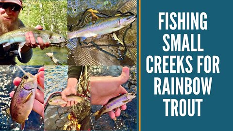 Fishing Small Creeks For Rainbow Trout / Michigan Trout Fishing Videos