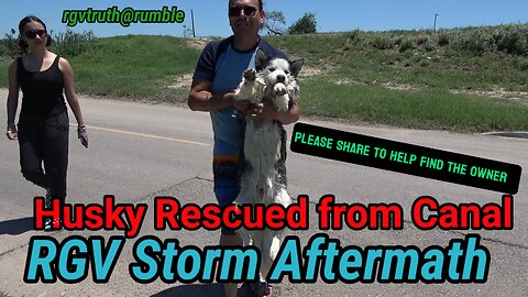 Husky Rescued from Canal . RGV Storm Aftermath