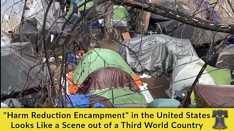 "Harm Reduction Encampment" in the United States Looks Like a Scene out of a Third World Country