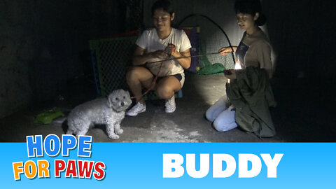 Hope For Paws fans joined me on a late night rescue to save a scared homeless maltipoo.