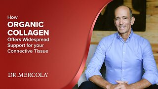 How ORGANIC COLLAGEN Offers Widespread Support for your Connective Tissue