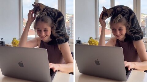 Cat loves to sit on owner's head while she works !