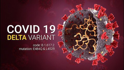 The Covid Vaccine IS The Delta Variant. It Makes You Sick? They Call It Covid. Again. And Again.