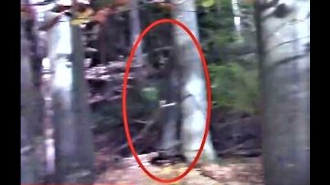 World Bigfoot Radio ~ Is Sasquatch Flesh-n-Blood or Paranormal?/ Bigfoot in Germany, Robert Boston