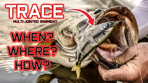 SECRET SWIMBAIT TECHNIQUE that you HAVE TO TRY