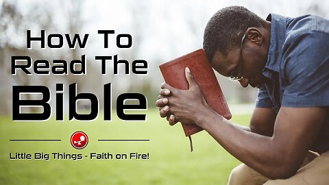 HOW TO READ THE BIBLE – The Fun and Easy Way – Daily Devotions – Little Big Things