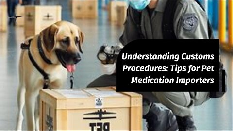 Navigating Customs Clearance: Guide for Pet Medications
