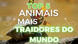 5 ANIMAIS MAIS SORRATEIROS E TRAIDORES DO MUNDO