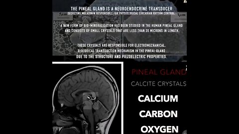 A comprehensive breakdown of the science behind the Pineal Gland (Third eye)