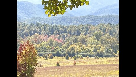 Cades Cove Fall Colors