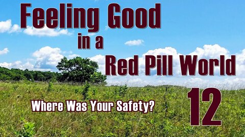 Feeling Good in a Red Pill World . Where was your Safety?