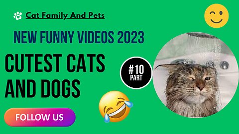 New Funny Videos 2023 😍 Cutest Cats and Dogs 🐱🐶 Part 10