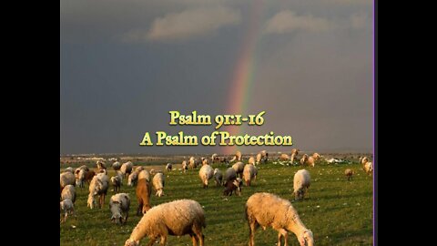 Psalm 91:1-16 TPT