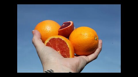 What exactly are Heirloom Navel Oranges?