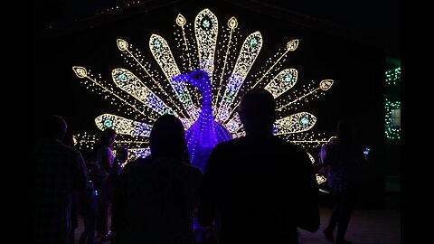 Watch: Light Festival Attracts Thousands to the Abraham Kriel Children's Home