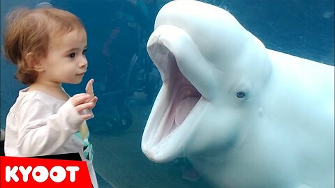 Funny Kids at the Aquarium | Girl SPOOKED By A Beluga Whale!