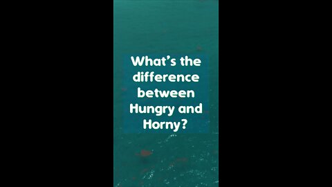 Joke. What is the difference between Hungry and Horny