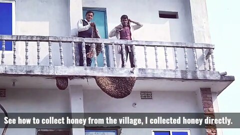 See how to collect honey from the village, I collected honey directly.
