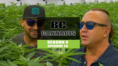 GROWING EXPOSED S3 EP13 | BC CANNABIS