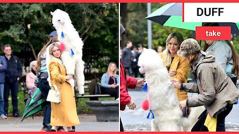 Moment Hilary Duff carries massive stuffed llama through New York park and prop's head falls off