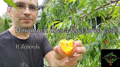 How much does a permaculture food forest cost?