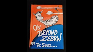 On Beyond Zebra