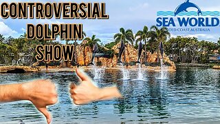 SeaWorld Controversial Dolphin show 2023
