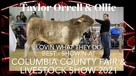 🌟Taylor Orrell and Ollie Showin At Columbia County Fair & Livestock Show 2021