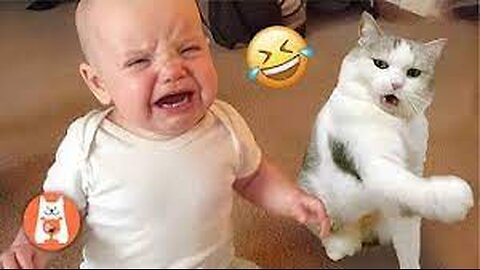 Videos Graciosos de Gatos y Bebés 😂 Mejores Momentos Divertidos y Fallidos de Bebés y Gatitos