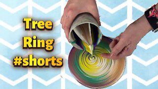 (80) Split Cup Tree Ring -Acrylic Pouring #shorts