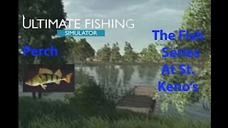 Ultimate Fishing Simulator: The Fish - St. Kenos - Perch - [00017]