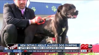 Man who recorded circulating video of alleged dog dumping speaks out