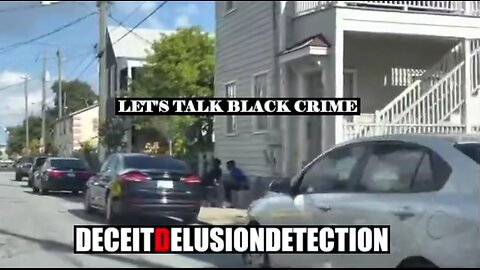Black on White Crime Report the Media Ignore #51 Deceit Delusion Detection