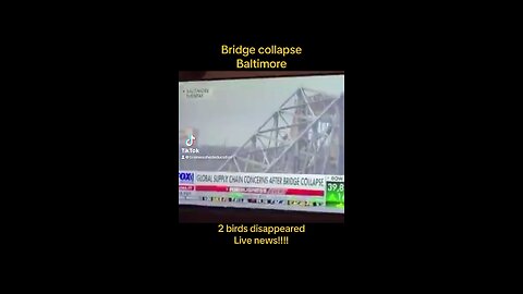 Baltimore bridge collapse AI