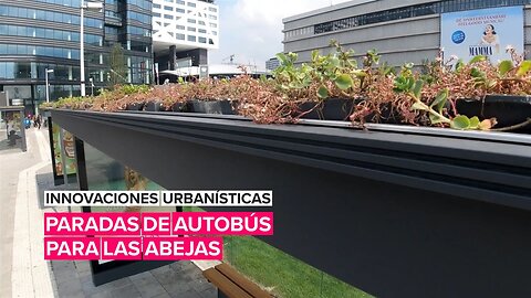 Innovaciones urbanísticas: Paradas para las abejas