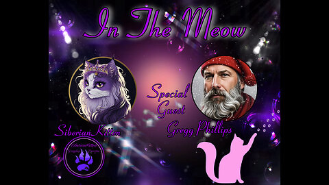 In The Meow | With Special Guest Gregg Phillips