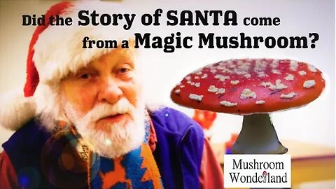 Did the story of Santa come from a Magic Mushroom? The story of Amanita Christmas