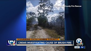 Crews investigate cause of brush fire in Okeechobee County