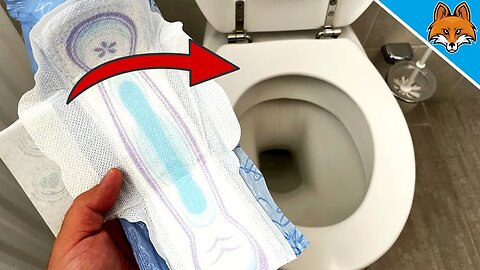 UNBELIEVABLE what you can do with a SANITARY NAPKIN in the TOILET 💥 (GENIUS)