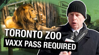 Unvaccinated in Toronto? Then it’s no zoo for you!