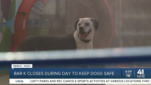 Bar K adjusts hours to keep dogs, humans cool