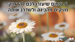 6 טיפים שיעזרו לכם להרחיק מזיקים מהגינה ובו זמנית לשדרג אותה