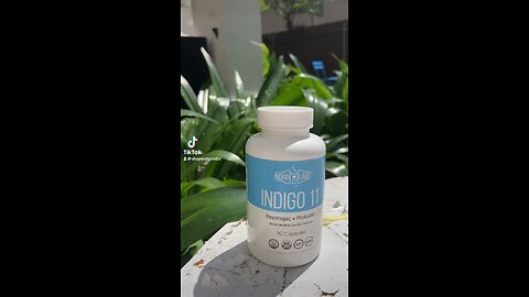 Indigo Labs Healthy Start