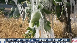 Freeze Watch Goes into Effect for Valley Thursday Night