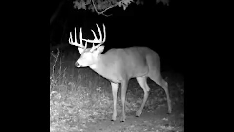 "FLASHBACK" To The Biggest 10 Point Buck Of 2020