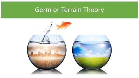 The Germ Paradigm Trap - Roman Bystrianyk - Mirror