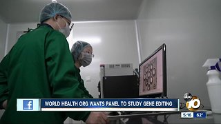 World Health Organization wants panel to study gene editing
