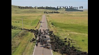 Sandhills Cattle Drive, GCSO Move #9, Fly with Mike