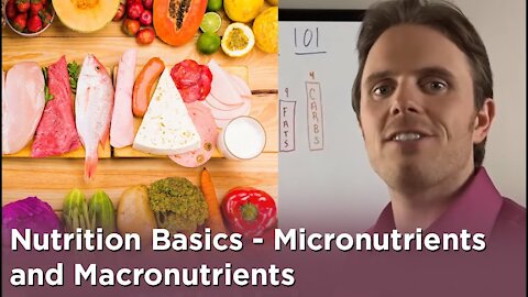 Nutrition Basics - Micronutrients and Macronutrients